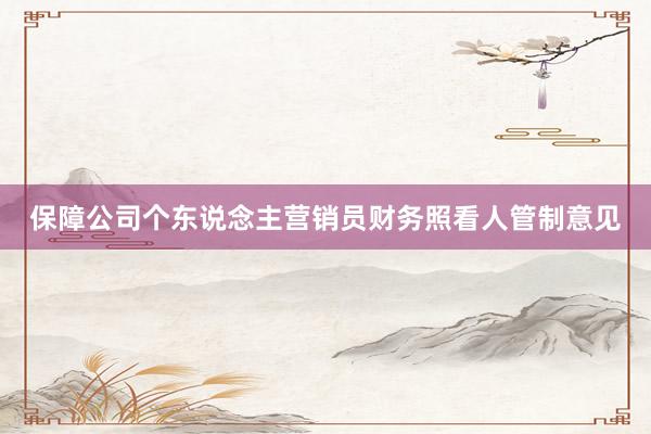 保障公司个东说念主营销员财务照看人管制意见